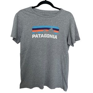 Patagonia Gray Tee with Blue & Orange Mountain Logo